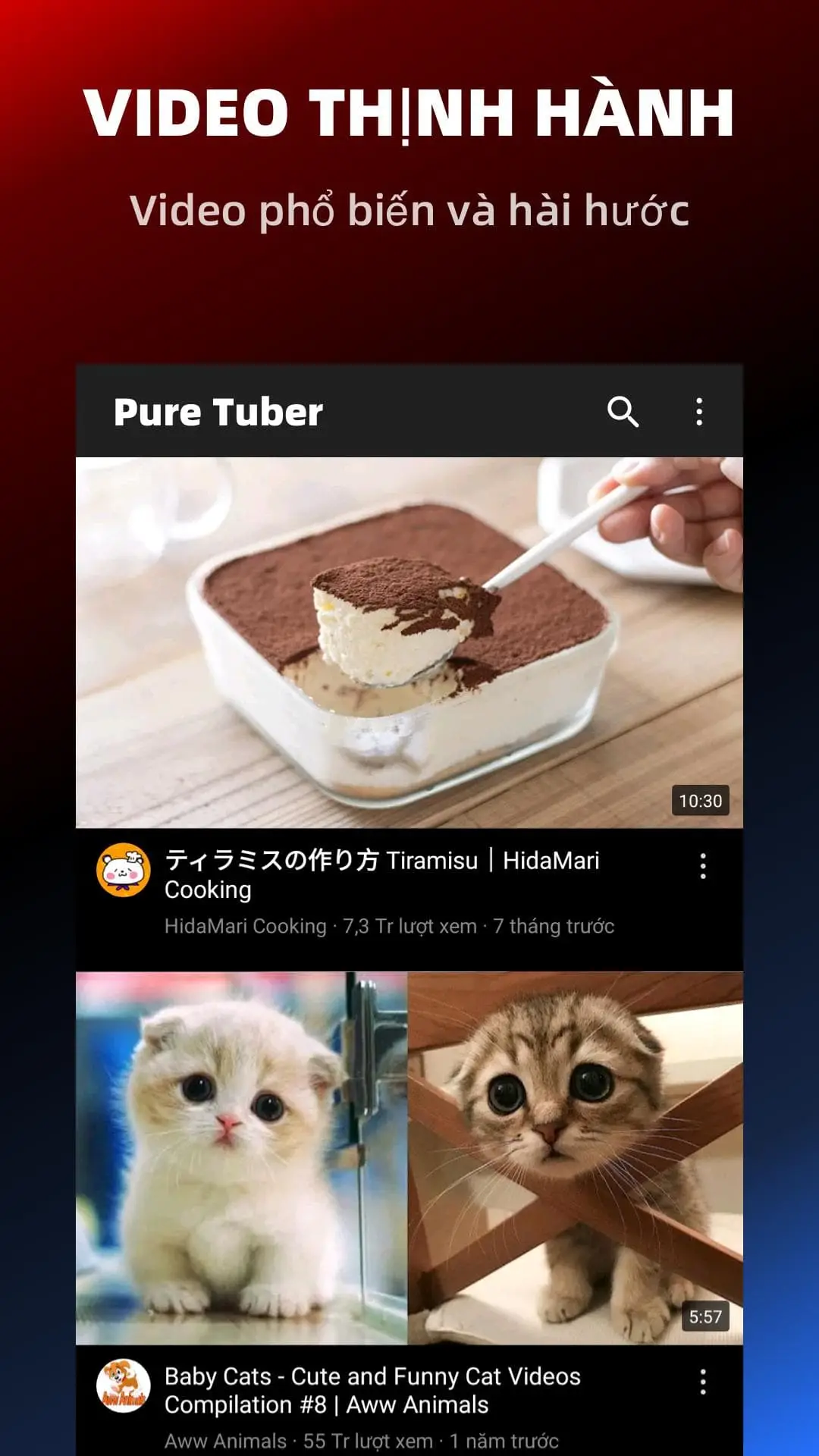 Những ưu điểm của Pure Tuber:No Video Ads Player