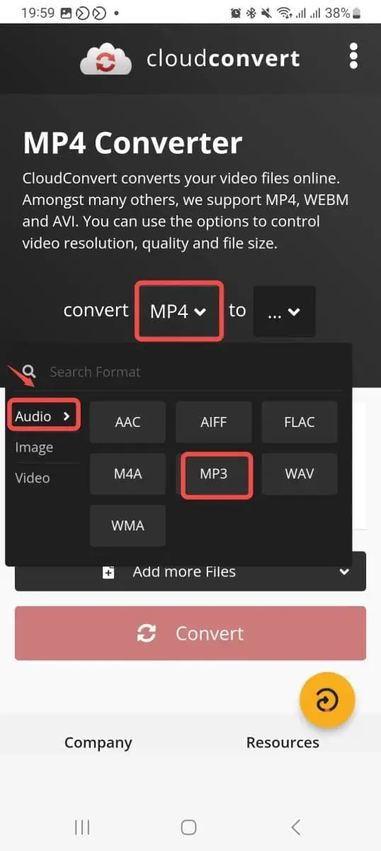 Chọn Audio và bấm vào định dạng MP3