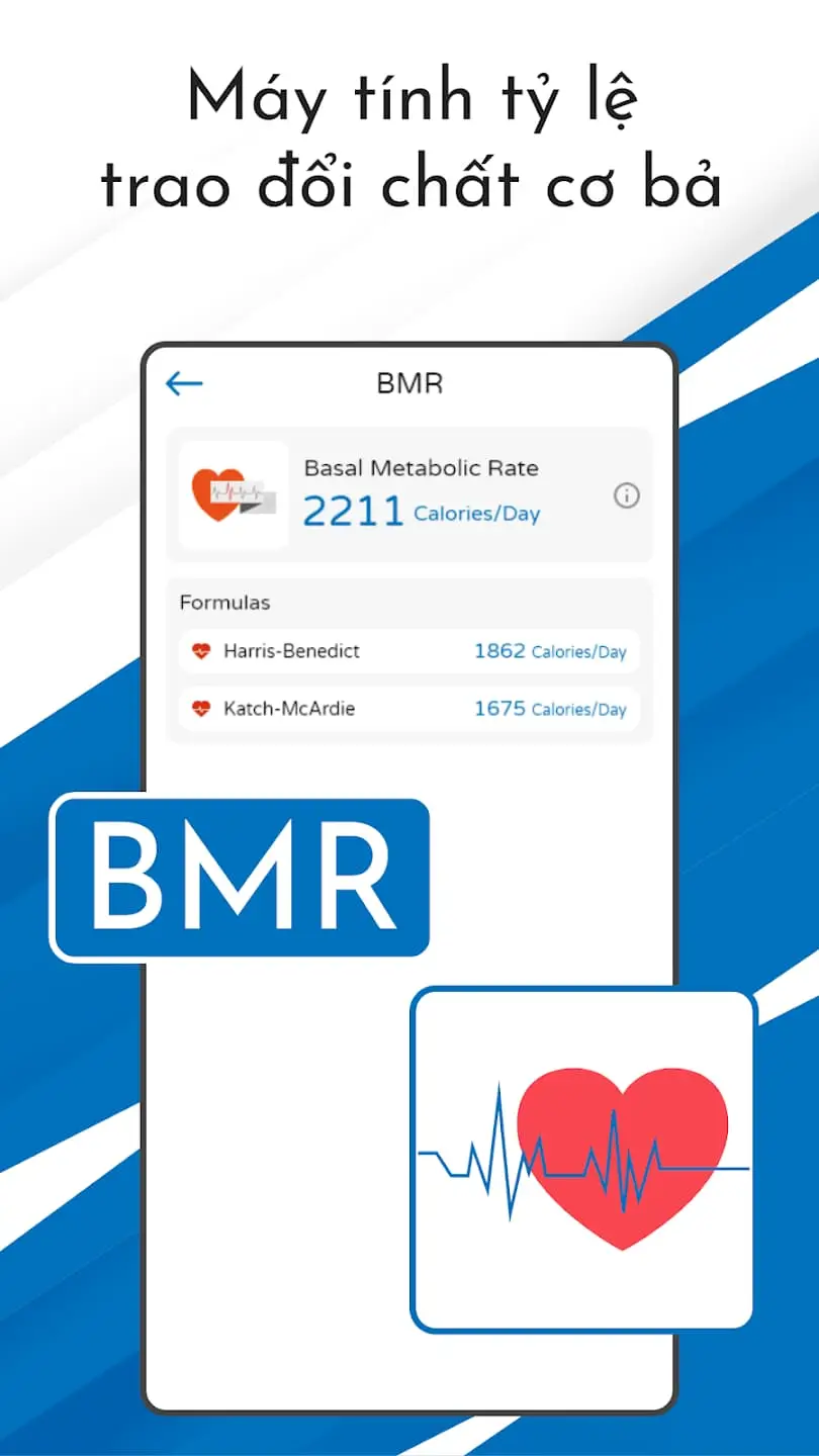 Tính BMR và RMR