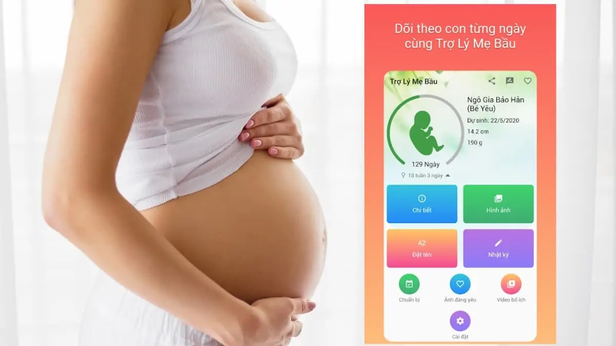 TOP 11+ app theo dõi thai kỳ chính xác, hữu ích nhất