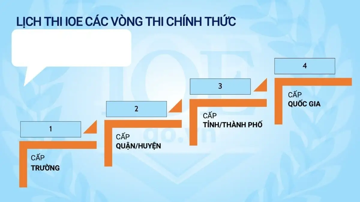 Các vòng thi chính thức của IOE