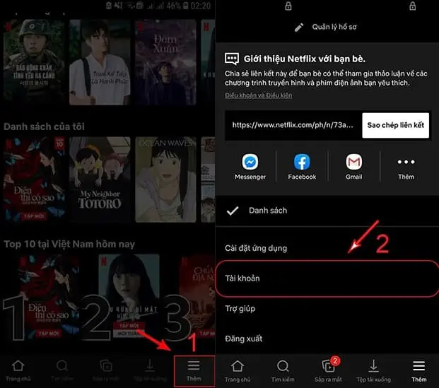 Đăng nhập vào tài khoản Netflix