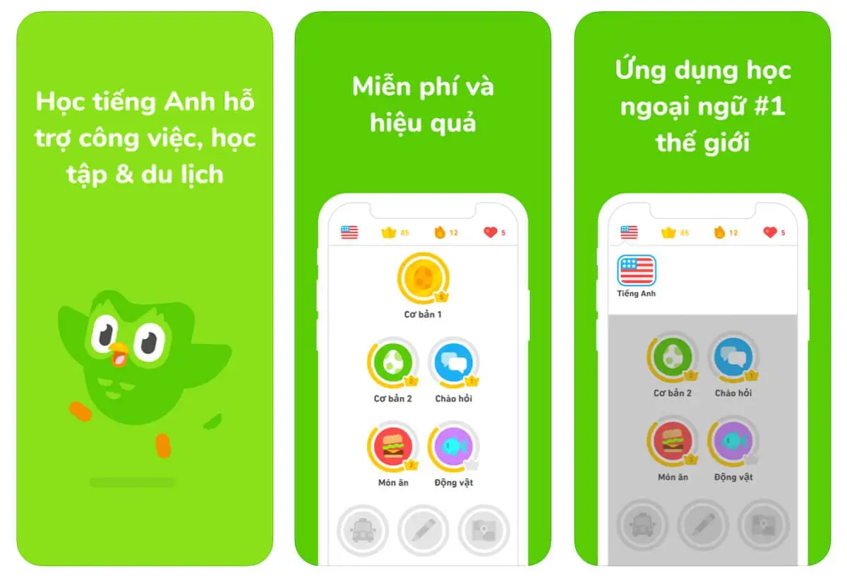 Ứng dụng học tiếng Anh nổi tiếng Duolingo