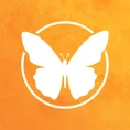 Logofly: Logo Maker