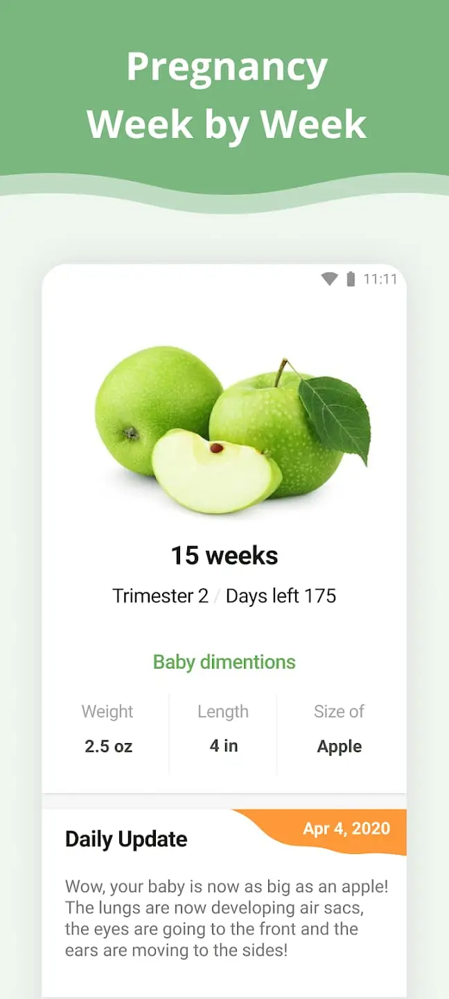 Thông tin về ứng dụng Pregnancy App