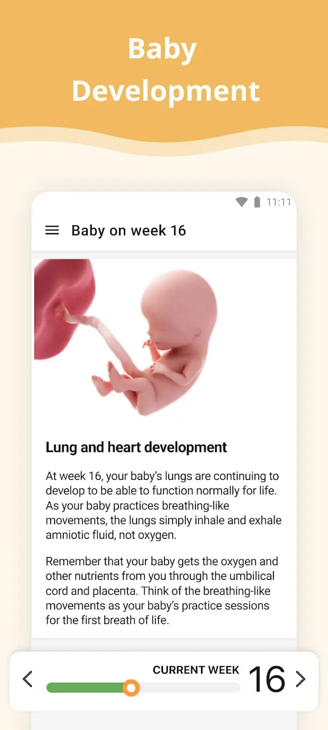 Những tính năng chính của Pregnancy App