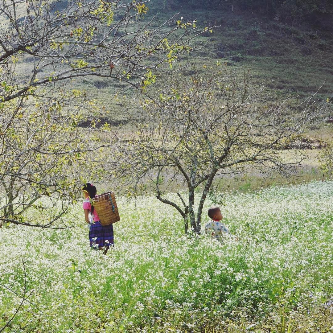 Cao nguyên Mộc Châu, Sơn La