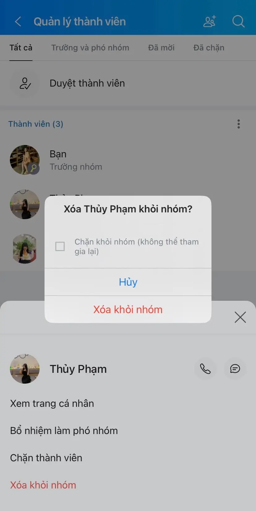 Chọn Xóa khỏi nhóm