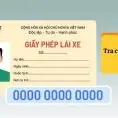 TOP 4 Cách Tra Cứu Giấy Phép Lái Xe Đơn Giản Nhất [nam]